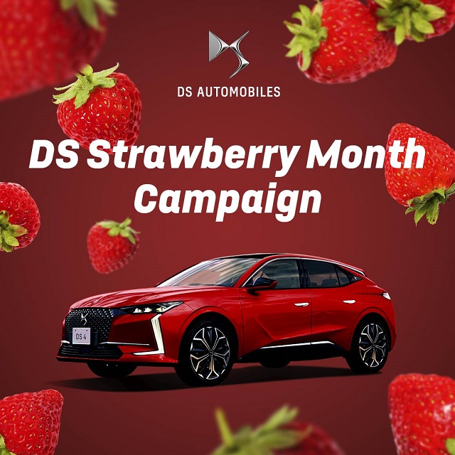 DS Strawberry Month🍓