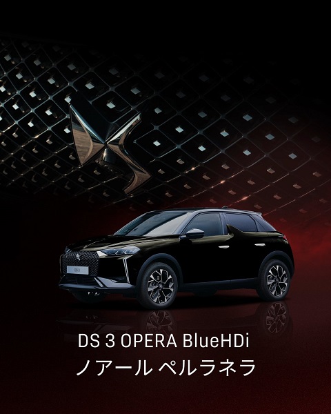 DS 3 Edition Noir et Blanc DEBUT✨️